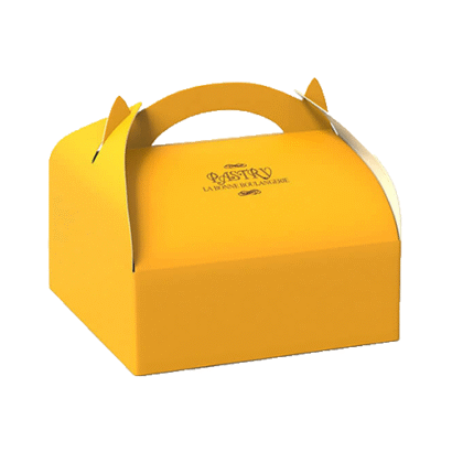 lunch boxes with handle